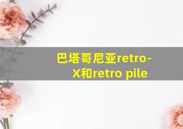 巴塔哥尼亚retro-X和retro pile